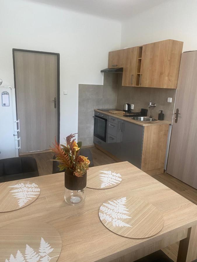 Cerna Ruze - Apartman 3 Plzeň Eksteriør billede