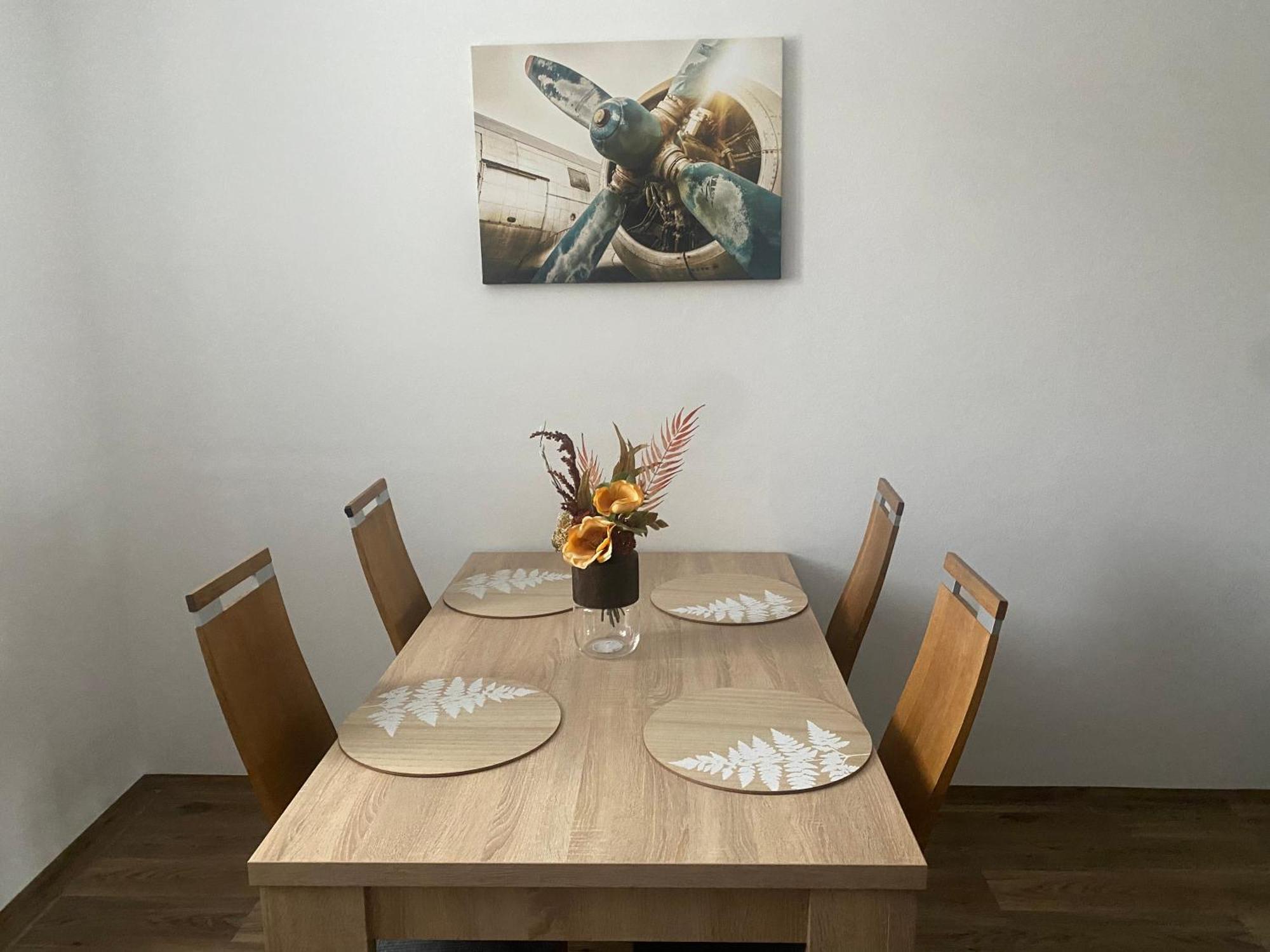 Cerna Ruze - Apartman 3 Plzeň Eksteriør billede